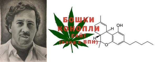 ECSTASY Санкт-Петербург