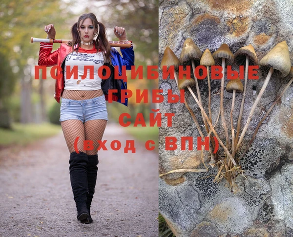 соль ск Коряжма