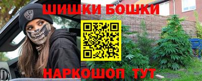 PSILOCYBIN Гатчина