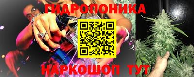 не бодяженный Гай