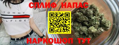 не бодяженный Гай
