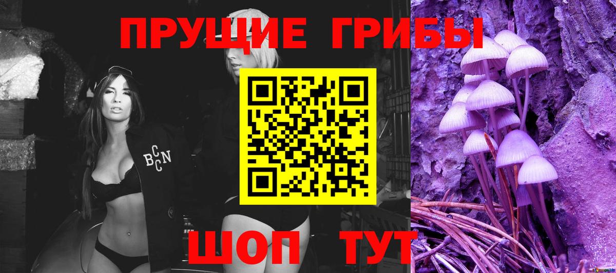 продажа наркотиков  Галлюциногенные грибы MAGIC MUSHROOMS  Вход с VPN  Новокубанск 