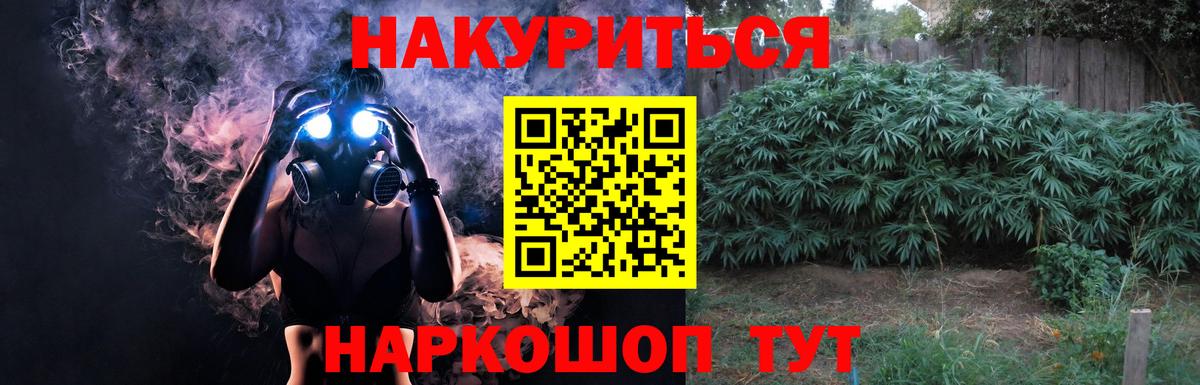 МАРИХУАНА план Новокубанск